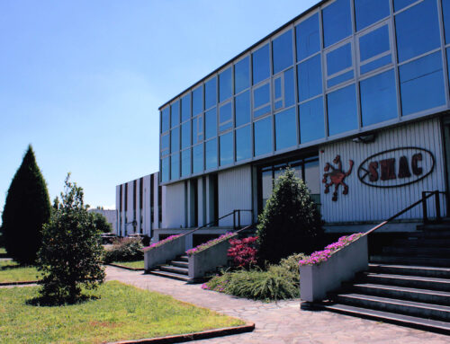 CERAMIC WORLD WEB – Interview with Fulvio Masini